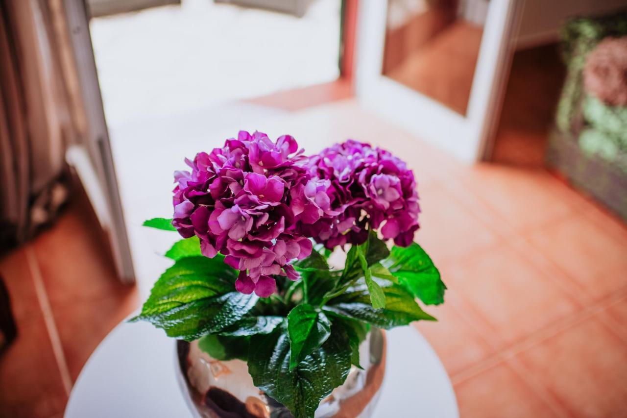Villa Amore Accommodation Paul do Mar  Luaran gambar
